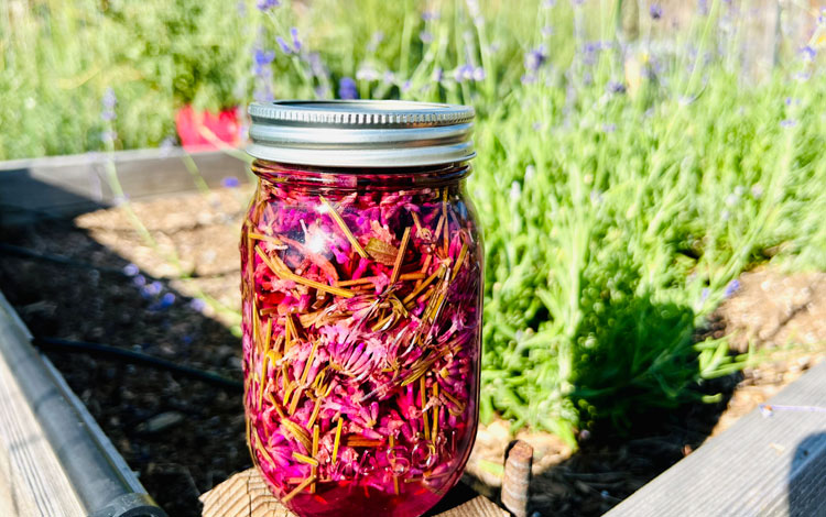 hand-made purple dye in a jar sitting on a post and flowers in the background.